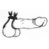 Kép 2/3 - You2Toys - Domina gyűrű - 2