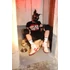 Kép 4/9 - Zokni Puppy Sk8terboy