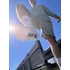 Kép 3/9 - Fuck My Socks Off Sk8erboy