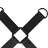 Kép 5/6 - INTENSE - FÉTIS HOG TIE