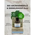 Kép 4/4 - Coconutoil - Bio Arcregeneráló & Sminklemosó Olaj (50ml)
