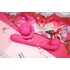Kép 12/13 - Snail Vibe Duo - akkus, 3in1 stimulációs vibrátor (pink)